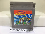 Super Mario Land 3 Wario Land - BC6060