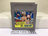 Takahashi Meijin no Boukenjima II 2 - BC6189