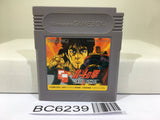 Fist of The North Star Hokuto no Ken - BC6239
