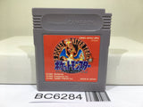 Pokemon Red - BC6284