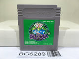 Pokemon Green - BC6289