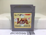 Magic Knight Rayearth Nintendo GameBoy Japan - BC6598