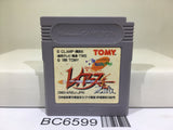 Magic Knight Rayearth 2nd Nintendo GameBoy Japan - BC6599