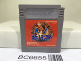 Pokemon Red Nintendo GameBoy Japan - BC6655