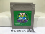 Pokemon Green Nintendo GameBoy Japan - BC6661