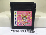 Kawaii Pet Shop Monogatari 2 Nintendo GameBoy Japan - BC6691