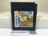 The Legend of Zelda Link's Awakening DX Nintendo GameBoy Japan - BC6697