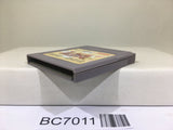 Magic Knight Rayearth Nintendo GameBoy Japan - BC7011