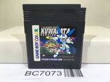 Medabots Medarot 2 Kuwagata Ver. Nintendo GameBoy Japan - BC7073