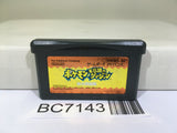 Pokemon Mystery Dungeon Red Rescue Team Nintendo GameBoy Advance Japan - BC7143