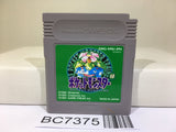 Pokemon Green Nintendo GameBoy Japan - BC7375