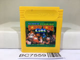 Super Donkey Kong GB Nintendo GameBoy Japan - BC7559