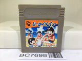 Sea Side Valley Ball Nintendo GameBoy Japan - BC7698