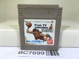 Slam Dunk From TV Animation Nintendo GameBoy Japan - BC7699
