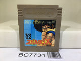 Spartan X Kung Fu Master Nintendo GameBoy Japan - BC7731