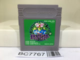 Pokemon Green Nintendo GameBoy Japan - BC7767