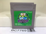 Pokemon Green Nintendo GameBoy Japan - BC7769