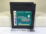 Tales of the World Narikiri Dungeon 2 Nintendo GameBoy Japan - BC7789