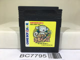 Kaseki Sousei Reborn 2 Nintendo GameBoy Japan - BC7795