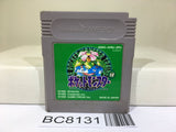 Pokemon Green Nintendo GameBoy Japan - BC8131