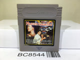 Master Karateka Nintendo GameBoy Japan - BC8544