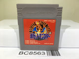 Pokemon Red Nintendo GameBoy Japan - BC8563