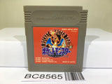 Pokemon Red Nintendo GameBoy Japan - BC8565