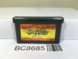 Pokemon Mystery Dungeon Red Rescue Team Nintendo GameBoy Advance Japan - BC8685