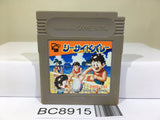 Sea Side Valley Ball Nintendo GameBoy Japan - BC8915