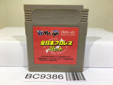 Zen Nippon Proresu Pro Wrestling Jet Nintendo GameBoy Japan - BC9386