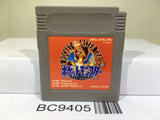 Pokemon Red Nintendo GameBoy Japan - BC9405