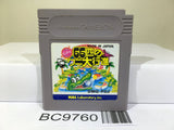 Revenge of the Gator Pinball 66 Hiki no Wani Nintendo GameBoy Japan - BC9760
