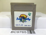 World Beach Volley Volleyball Nintendo GameBoy Japan - BC9765
