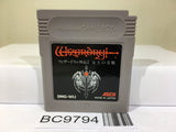 Wizardry Gaiden I 1 Nintendo GameBoy Japan - BC9794