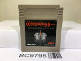 Wizardry Gaiden I 1 Nintendo GameBoy Japan - BC9795