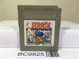 Goemon Sarawareta Ebisumaru! Mystical Ninja Nintendo GameBoy Japan - BC9825