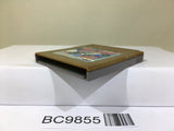 Tekkyu Fight! The Great Battle Gaiden Nintendo GameBoy Japan - BC9855