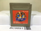 Pokemon Red Nintendo GameBoy Japan - BC9891