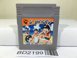 Sea Side Valley Ball Nintendo GameBoy Japan - BD2199 - Photo 1