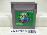 Pokemon Green Nintendo GameBoy Japan - BD2833 - Photo 1
