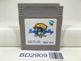World Beach Volley Volleyball Nintendo GameBoy Japan - BD2909 - Photo 1