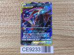 CE9233 Greninja&Zoroark tag team GX RR SM9a 025/055 Pokemon Card TCG Japan