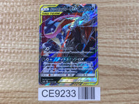CE9233 Greninja&Zoroark tag team GX RR SM9a 025/055 Pokemon Card TCG Japan