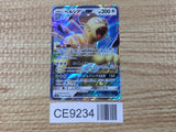 CE9234 Persian GX RR SM10 069/095 Pokemon Card TCG Japan
