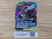 CE9247 Greninja Zoroark tag team GX RR SM12a 072/173 Pokemon Card TCG Japan