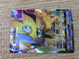 CE9290 Zeraora VMAX SAR s12a 219/172 Pokemon Card TCG Japan
