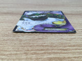 CE9322 Tornadus EX SR BW4 073/069 Pokemon Card TCG Japan