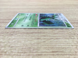 Sceptile 005/092 Holo Rare Stormfront Pokemon Japanese LP - CE9560