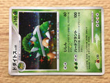 Torterra Holo Entry Pack '08 Pokemon Japanese LP - CE9563