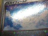 Sky Field 158/171 The Best of XY Pokemon Japanese LP - CE9632
